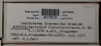 Image Associated With the Occurence